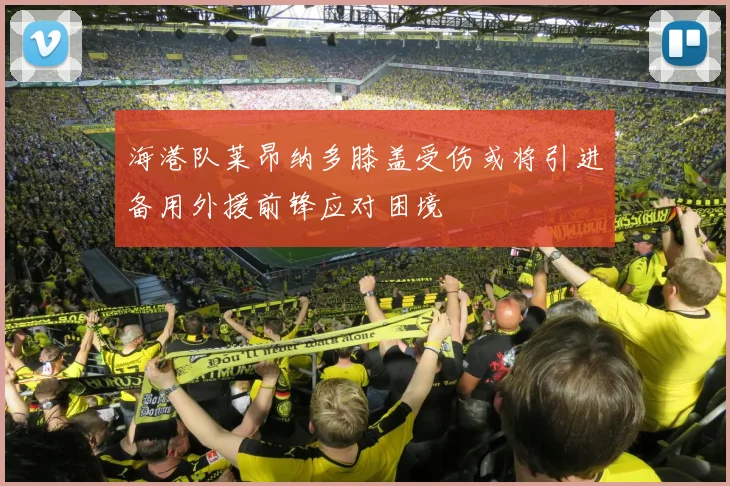 海港队莱昂纳多膝盖受伤或将引进备用外援前锋应对困境